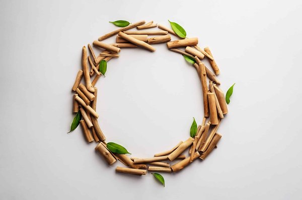 Quels sont les meilleurs moyens de conserver la fraîcheur des aliments sans réfrigérateur en camping ?